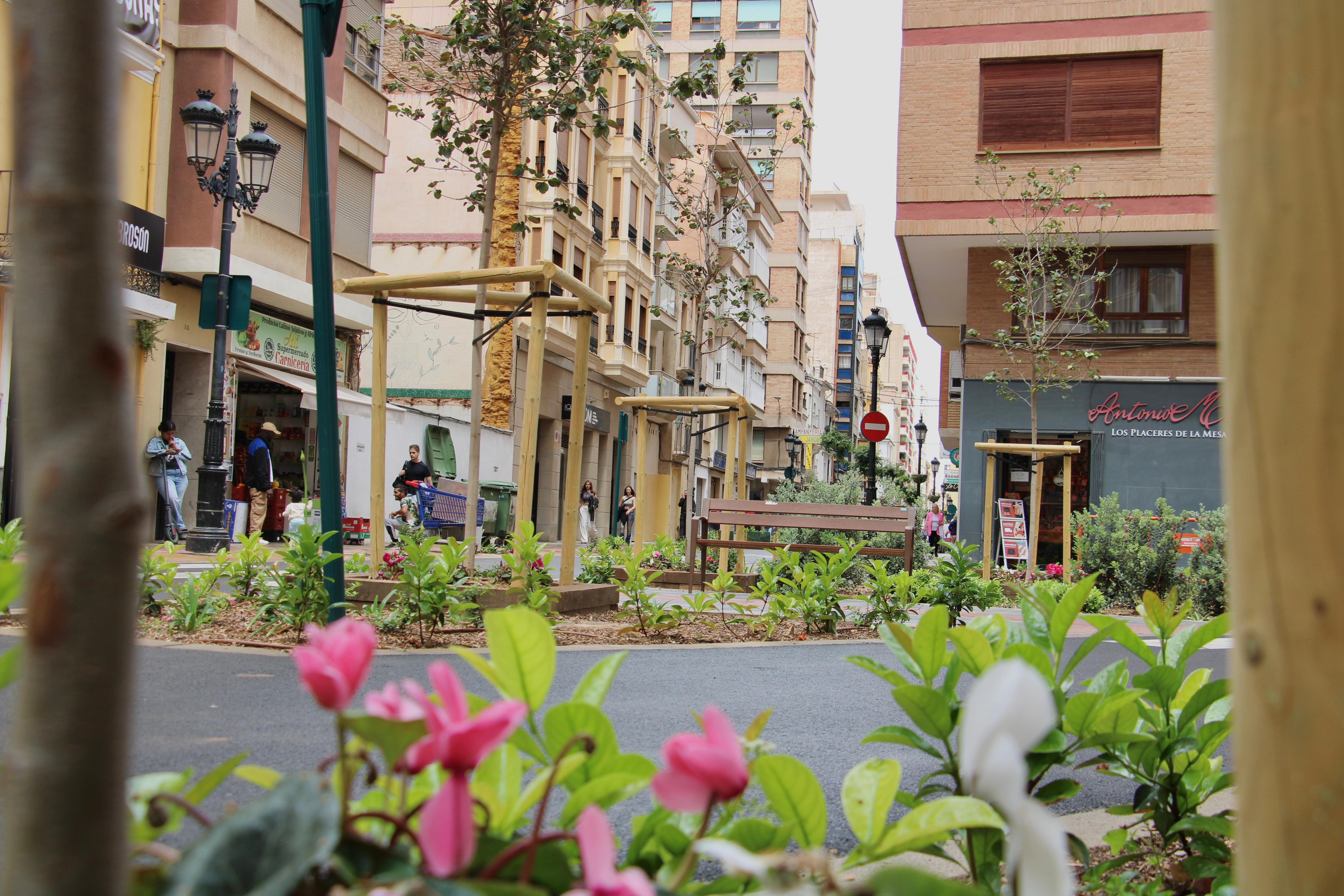 Aquesta setmana finalitza la tercera fase del carrer Trinidad amb les plantacions d'arbratge i vegetació
