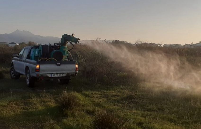 L'Ajuntament actua en els voltants de col·legi la Marina i en la Marjaleria del Grau en les labors de control de mosquits