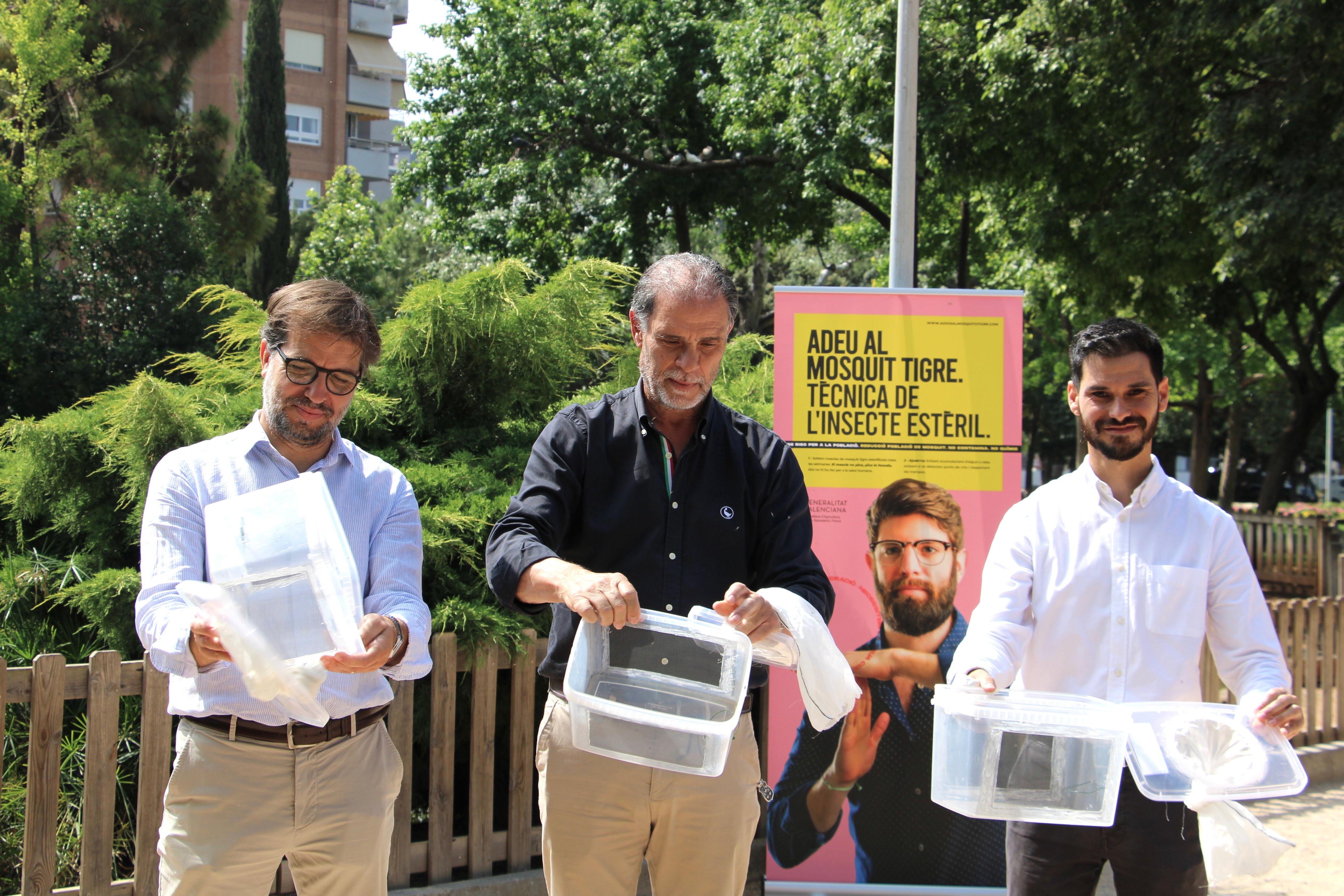 Castellón inicia la campaña contra el mosquito tigre con la técnica del insecto estéril en cinco parques de la ciudad