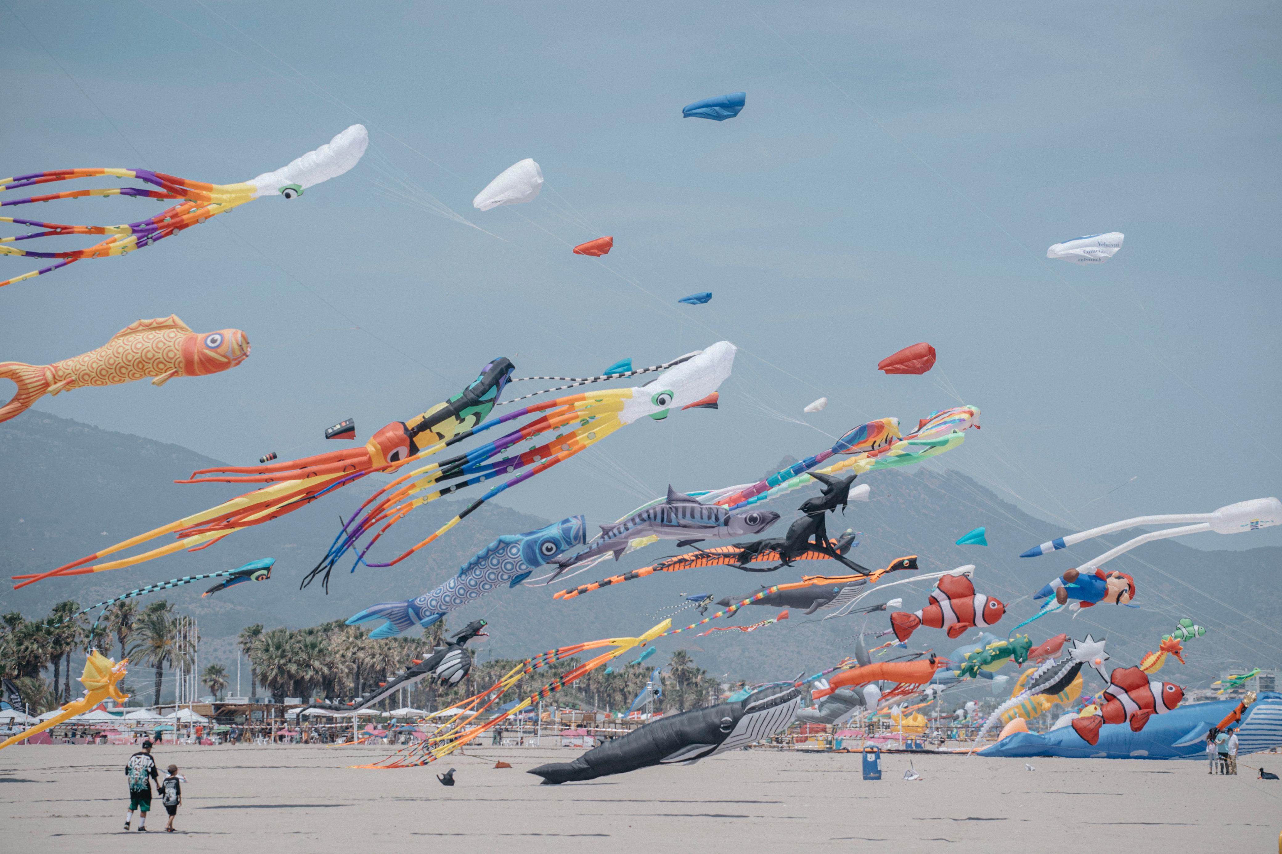 El Festival del Viento de Castellón cierra una edición de récord con más de 50.000 asistentes y un impacto económico que crece un 35% respecto a 2024
