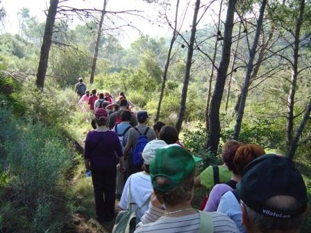 Senderismo - Montornés - Barranco de la Parreta - Mas de Chiva - Mas de Bover - Ermitorio de La Magdalena. Patronat d´Esports Castelló