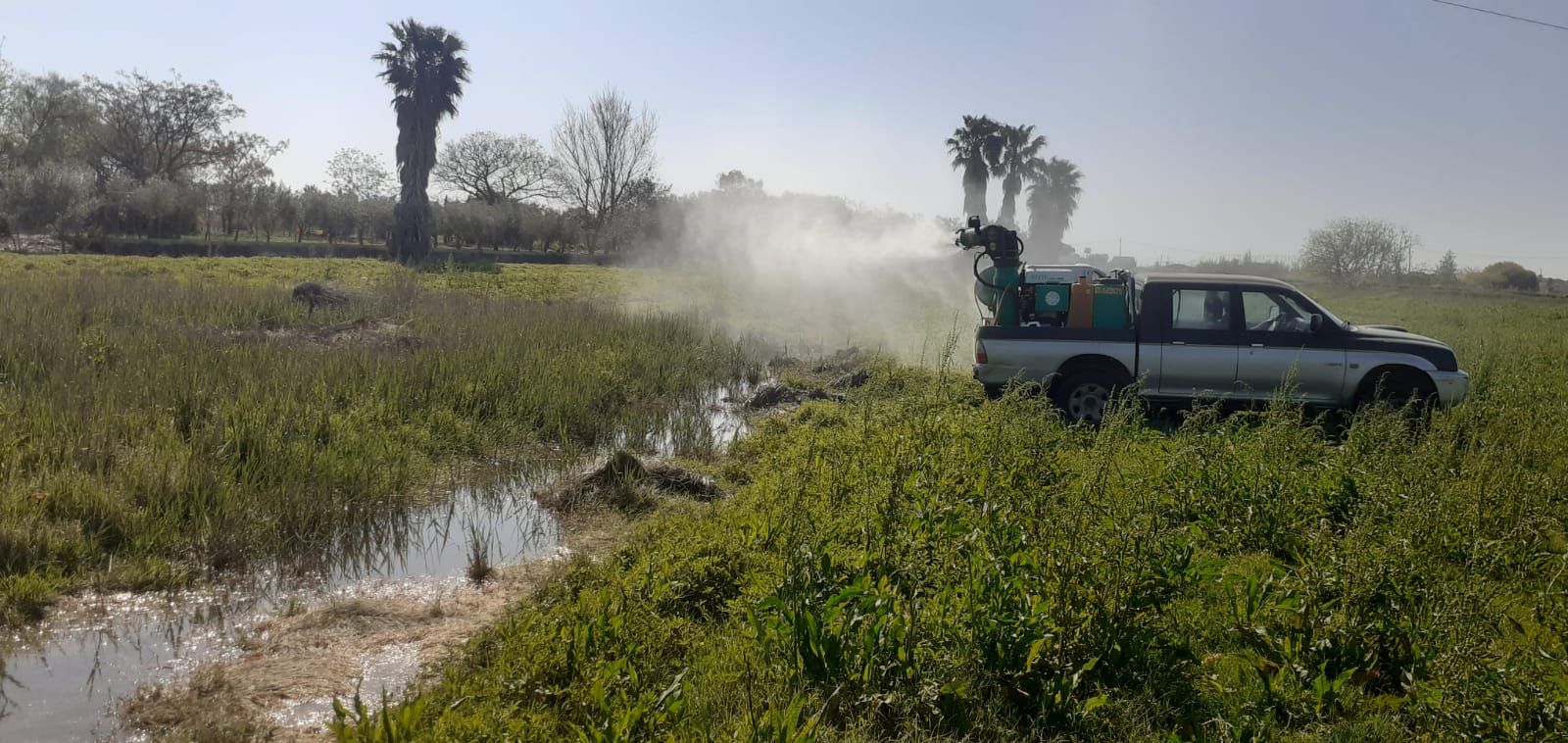 La regidoria de Salut Pública impulsa la col·laboració ciutadana en el control dels mosquits mentre segueix el reforç dels tractaments contra les plagues