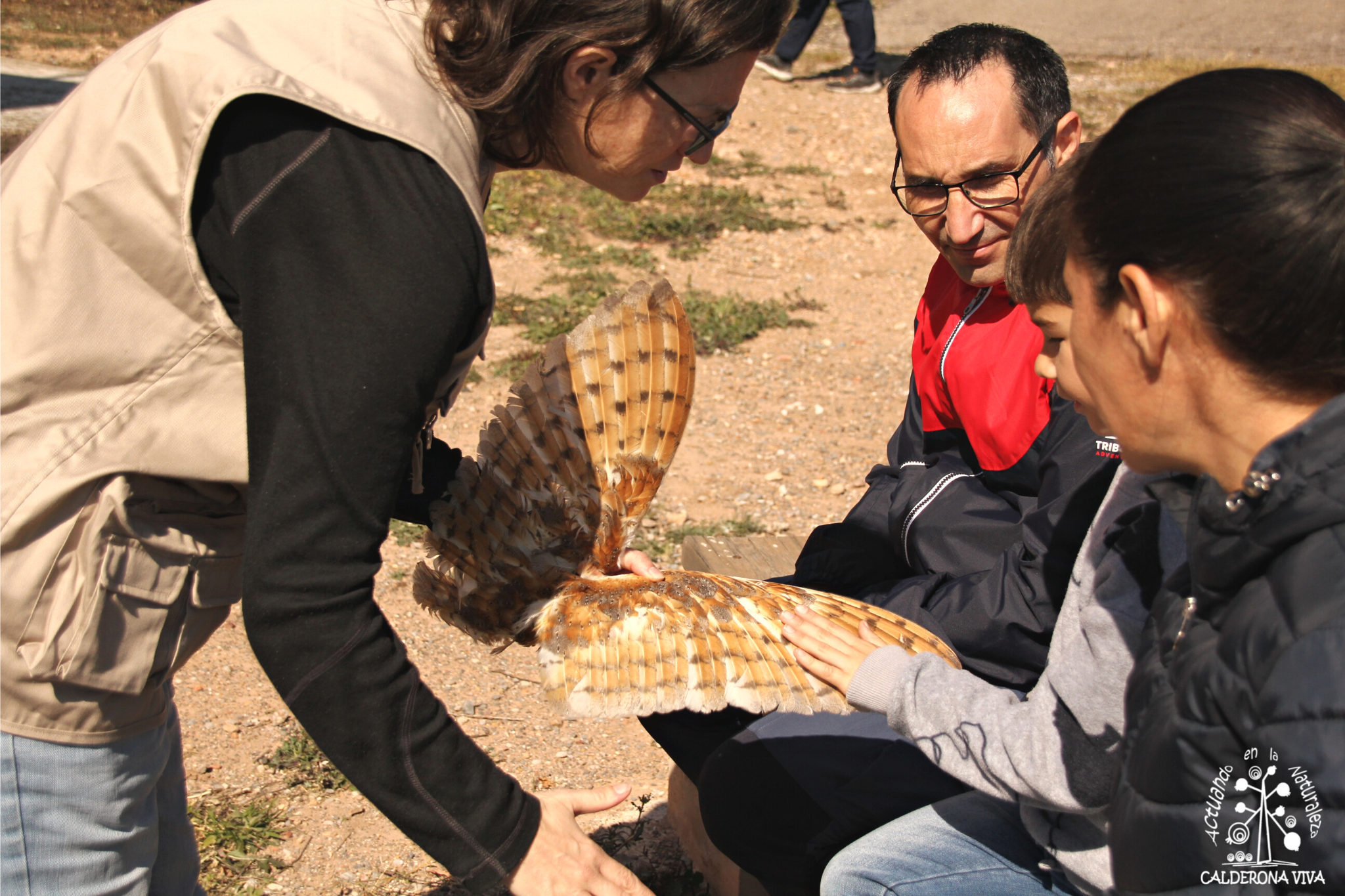 Castelló impulsa la segunda convocatoria para organizar actividades de educación ambiental en verano